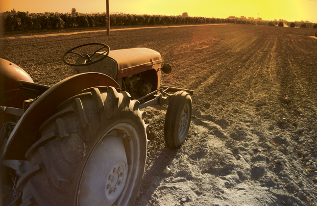 Tractor in field